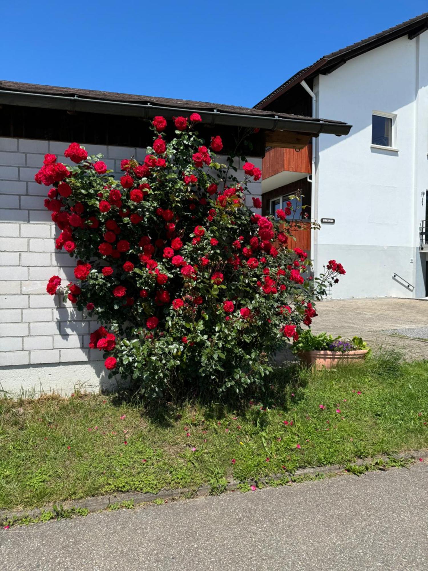 Haus Waldeck Apartamento *
